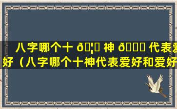 八字哪个十 🦍 神 🐕 代表爱好（八字哪个十神代表爱好和爱好）